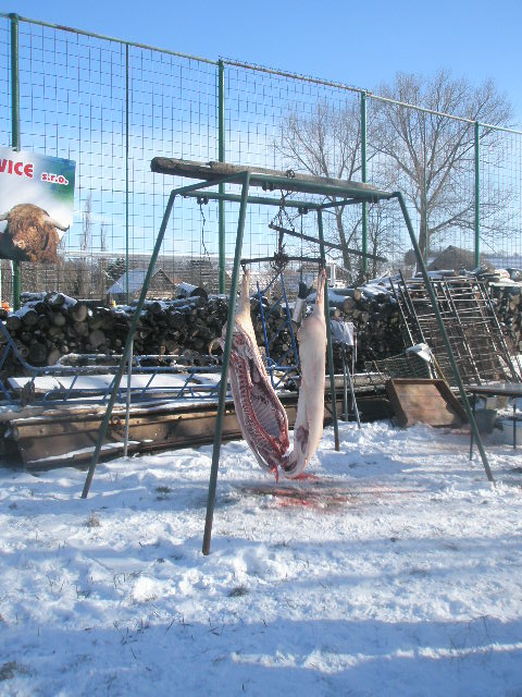 14.2.2009_zabijacka_003.jpg