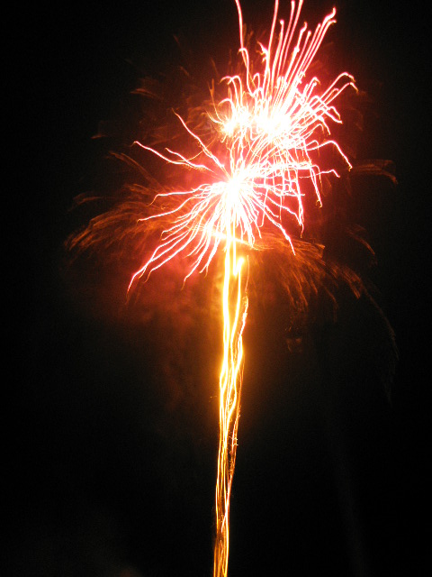 SILVESTR 2008 013.jpg